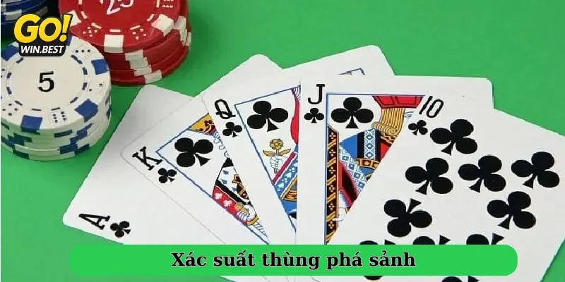 thùng phá sảnh thùng phá sảnh